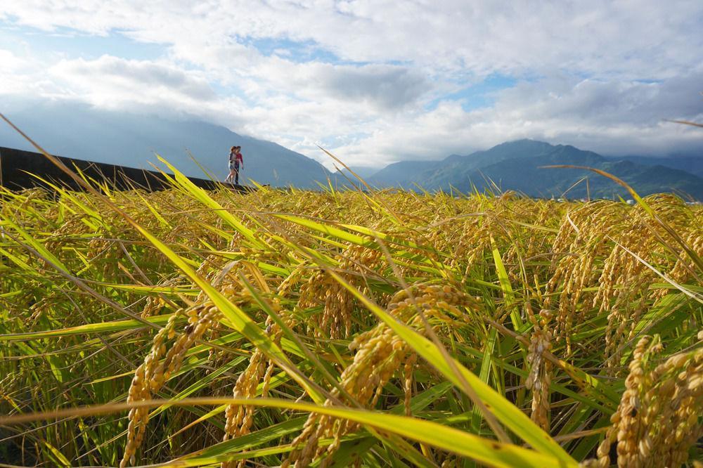 Snail Trail B&B Taitung Екстер'єр фото